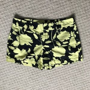 Loft shorts size 2